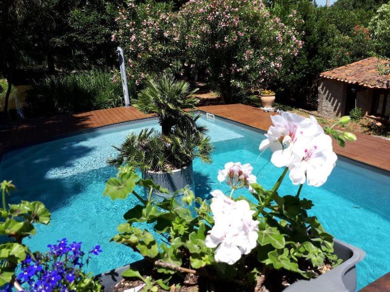 Casa9 Hotel Thuir Zewnętrze zdjęcie